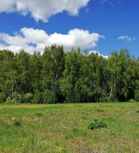 Поселок Барыбино