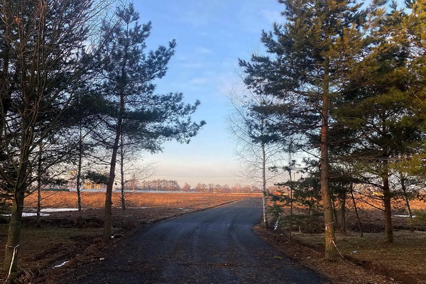Поселок Братовщина