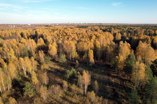 Поселок Медведки