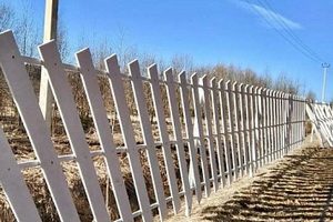 Поселок Власьево