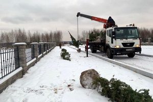 Поселок Ели