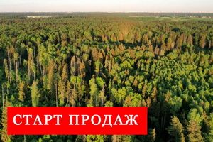 Поселок Костино Парк